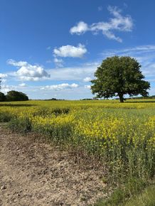 [17654530024245_5.jpg]