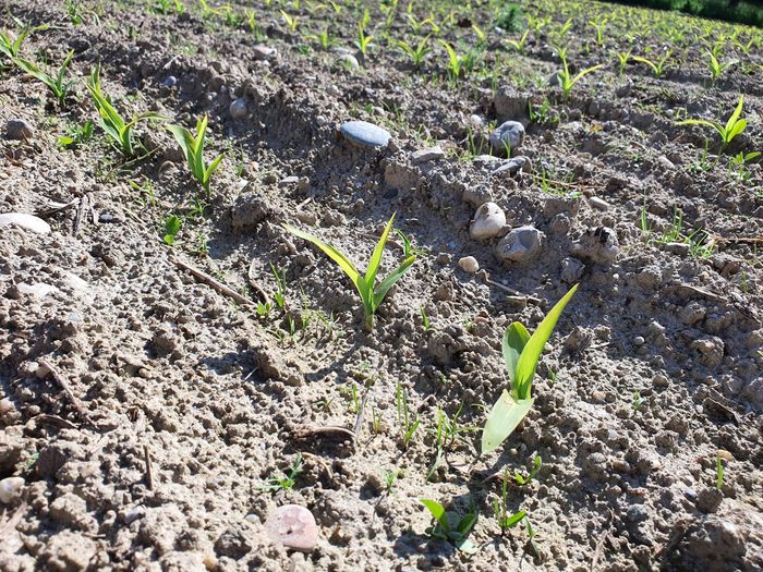 [1765532568069843_1.jpg]