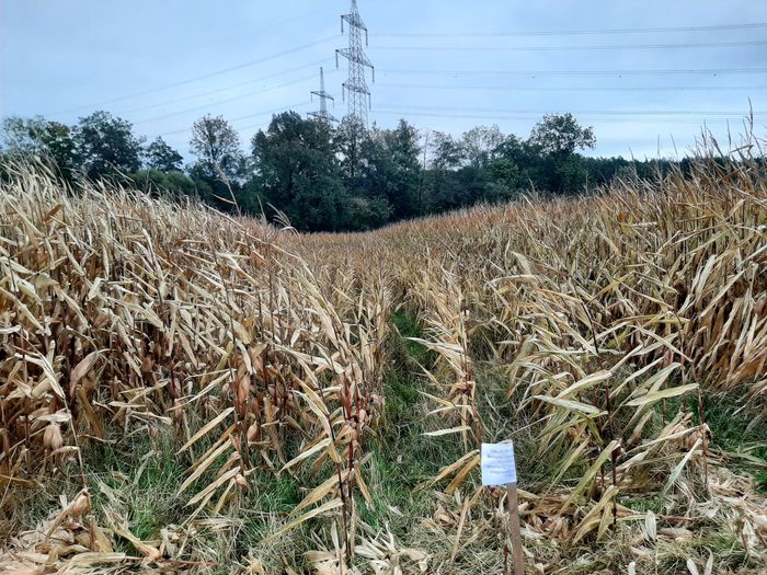 [1765532645039683_1.jpg]