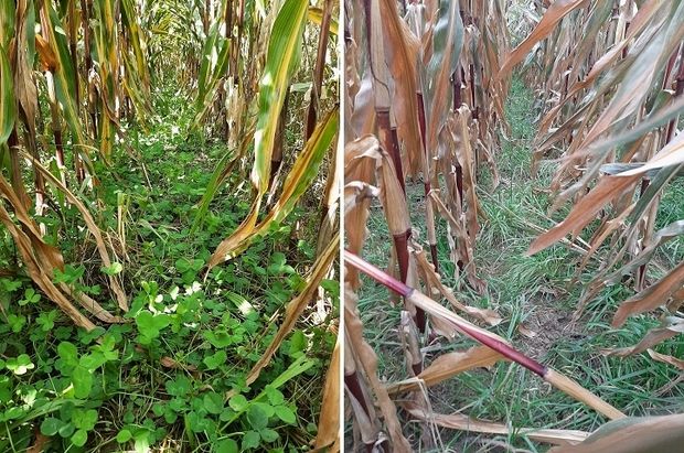 [1765532836800249_7.jpg]