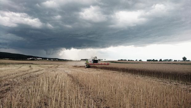 [1765536916359216_7.jpg]