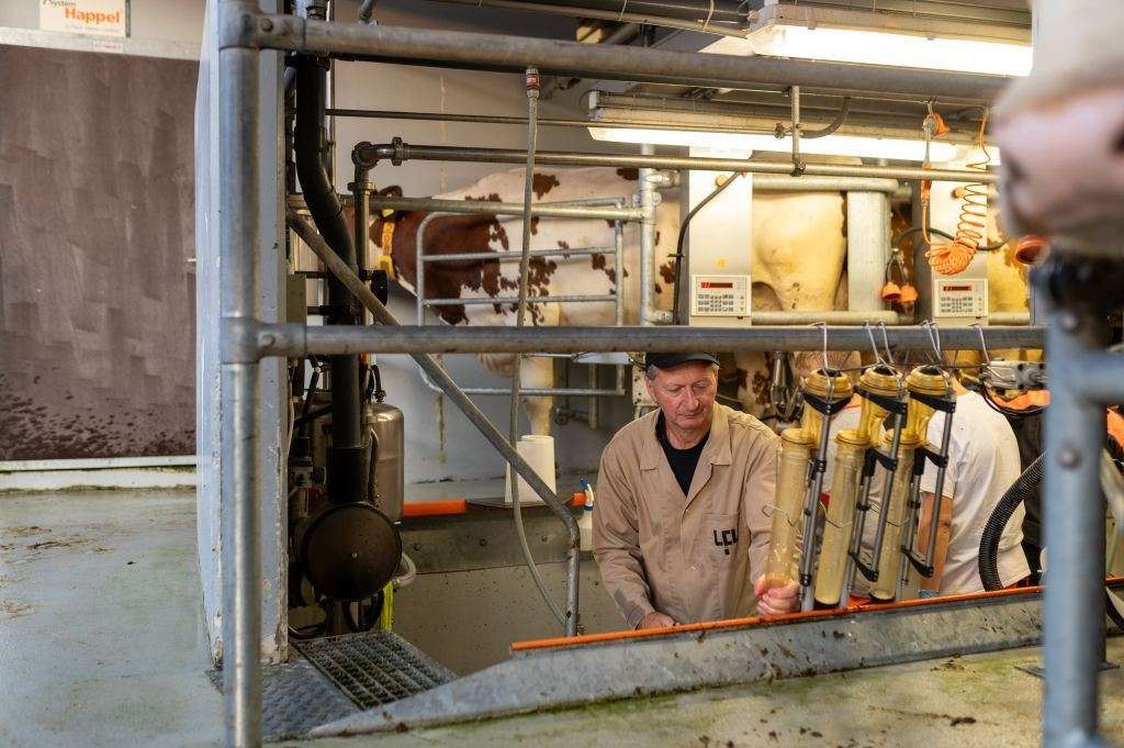 Milchleistungskontrolle.jpg © Daniela Köppl