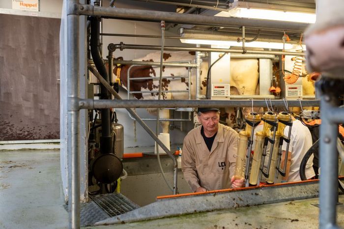 [1765784019681773_1.jpg]