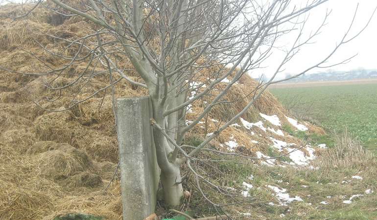 2 Festmistlagerstätte.jpg © BWSB/Wallner