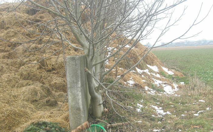 [1765887680809983_1.jpg]