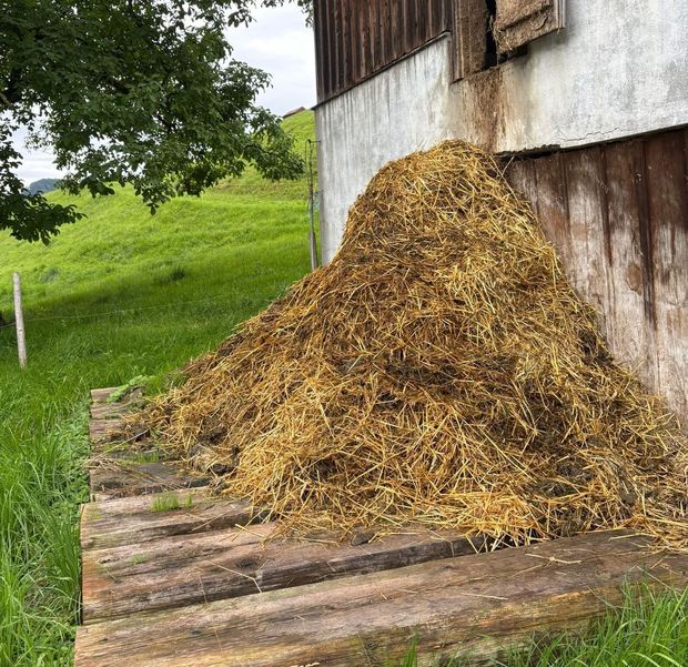 [1765887727412646_7.jpg]