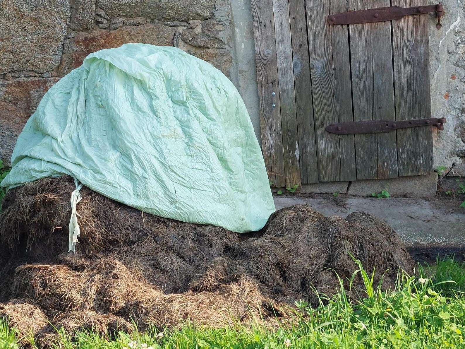 5 Mistlager_provisorisch.jpg © BWSB/Wallner