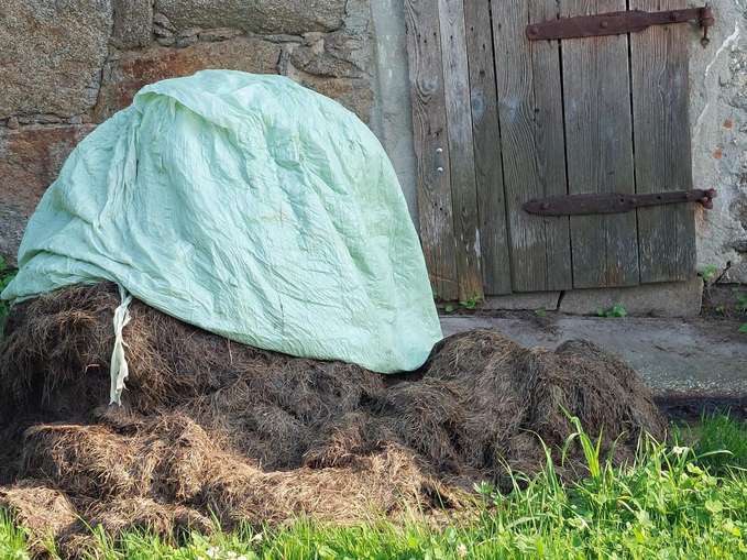 5 Mistlager_provisorisch.jpg © BWSB/Wallner