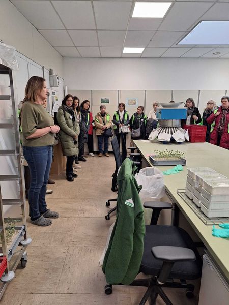 05 RWA Labor.jpg 05 RWA Labor.jpg