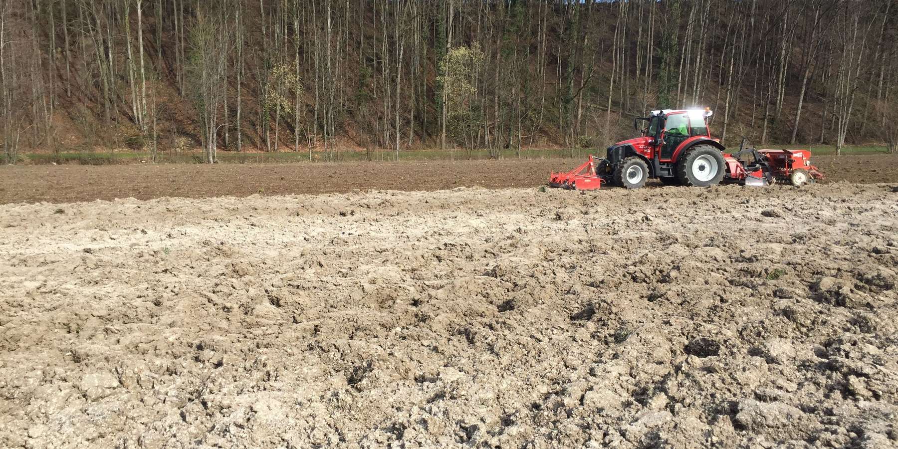 Frühjahrsanbau.jpg © LK OÖ / Doblmair