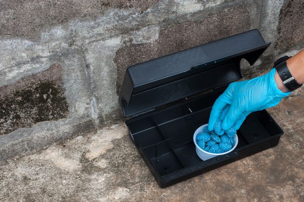 [1766058173437898_7.jpg]