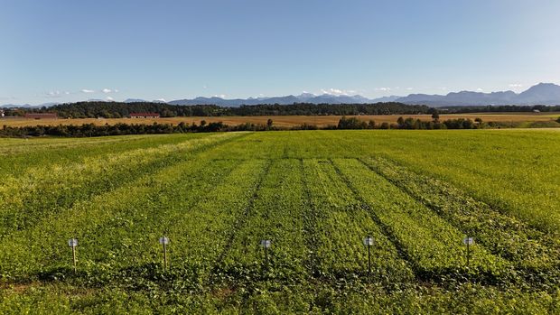 [1766066879600381_7.jpg]