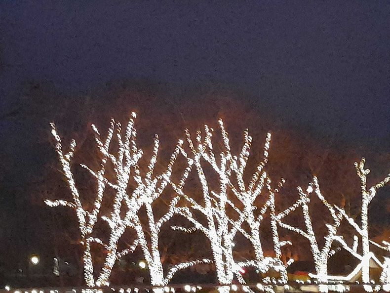 Adventfahrt Aspang ©&nbsp;Die Bäuerinnen im Gebiet Aspang 