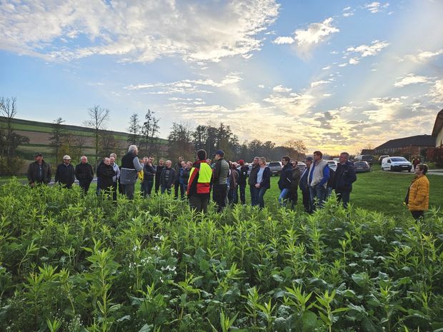 [1766387212264315_7.jpg]