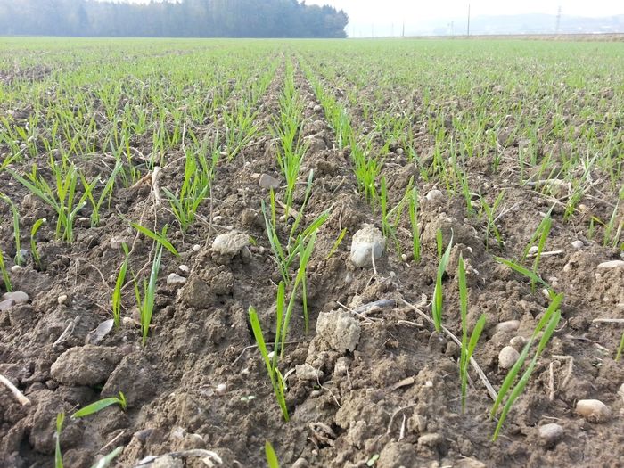 [1766396835520861_1.jpg]