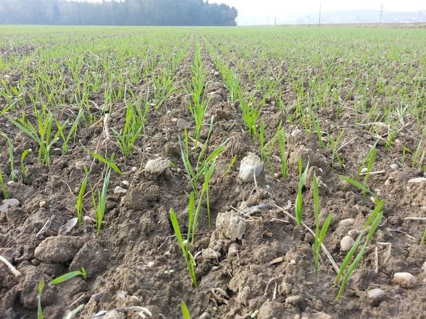 [1766396835520861_7.jpg]