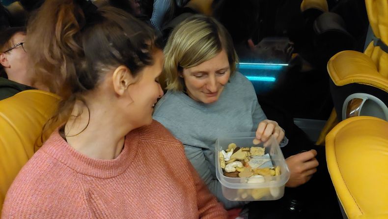 Adventzauber in Steyr © Die Bäuerinnen im Gebiet Tullnerfeld / Angelika Buchinger Adventzauber in Steyr © Die Bäuerinnen im Gebiet Tullnerfeld / Angelika Buchinger