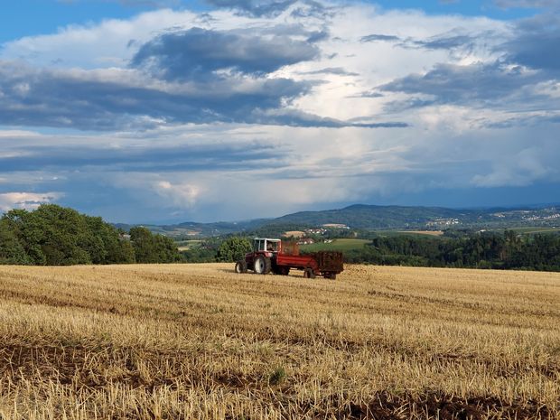 [1767617513536361_7.jpg]