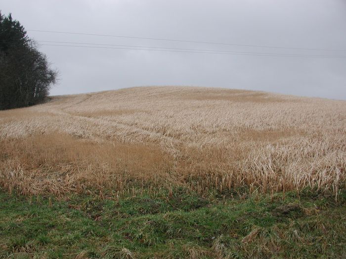 [1767619588751357_1.jpg]