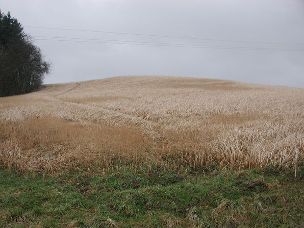 [1767619588751357_7.jpg]