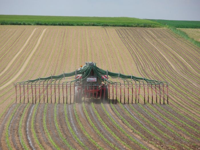 [1767619770161452_1.jpg]