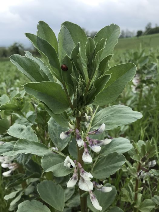 [1767862877221868_1.jpg]