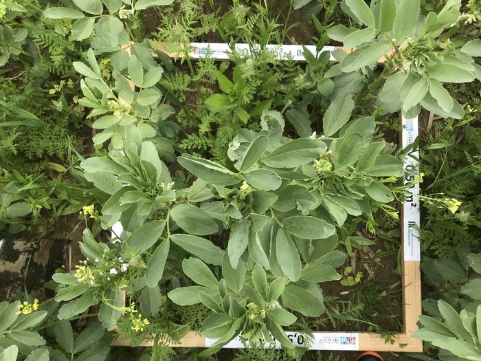 [1767862915220227_1.jpg]