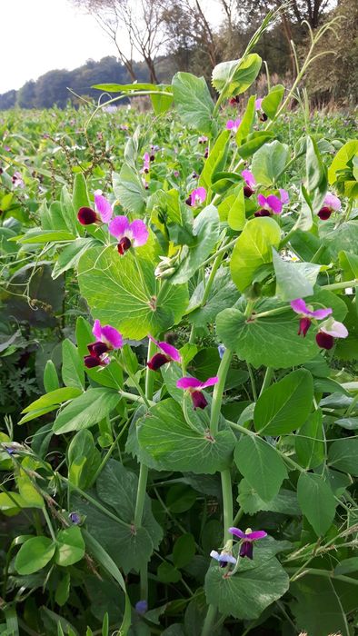 [1767862988494695_1.jpg]