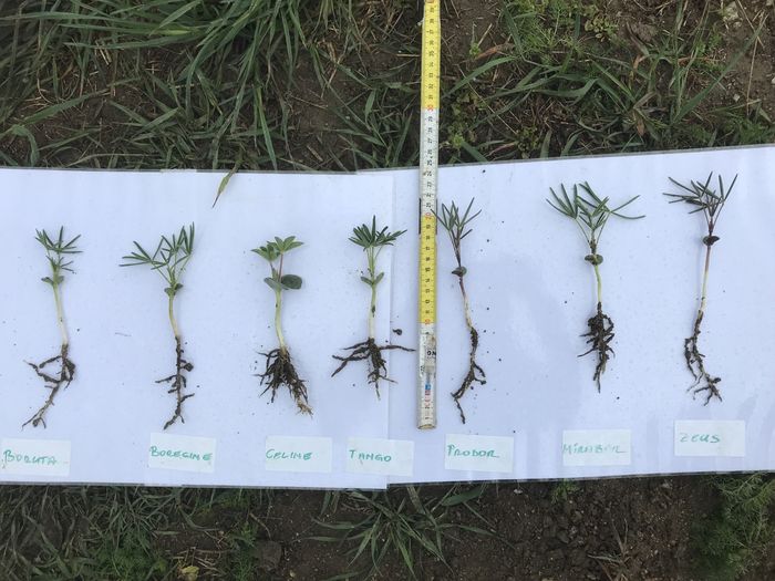 [1767863023739262_1.jpg]