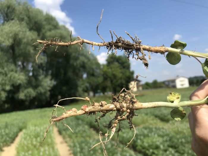 [1767863099602627_1.jpg]