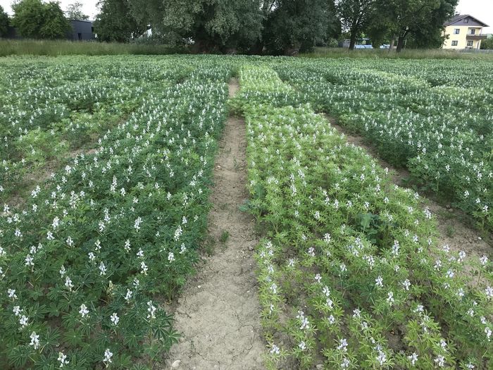 [1767863151234189_1.jpg]