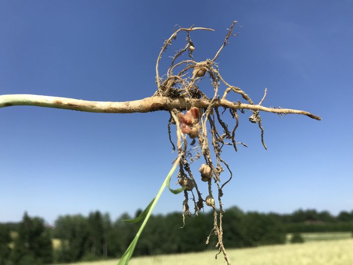 [176786327637853_1.jpg]