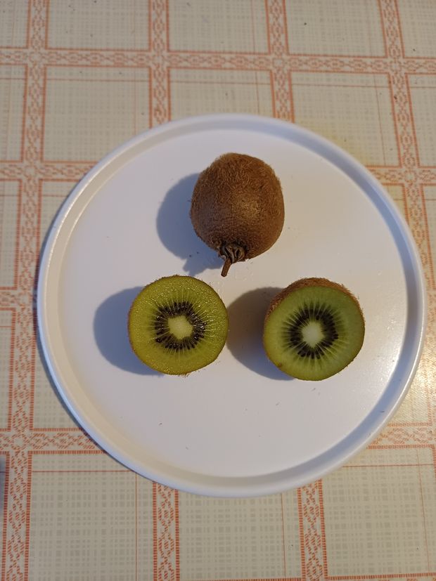 [1768226043994355_7.jpg]