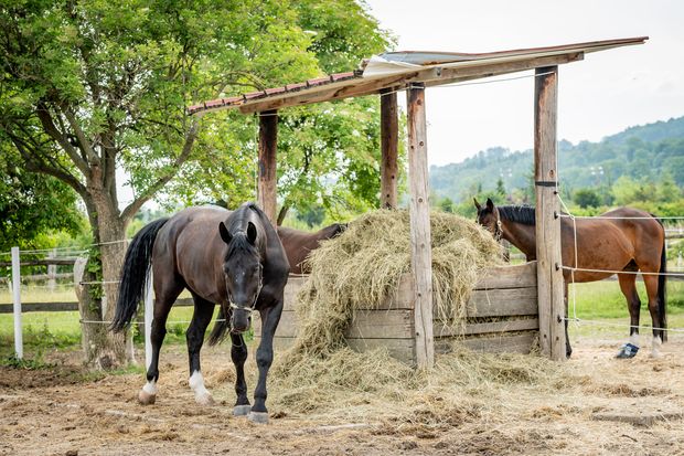 [1768472316064940_7.jpg]