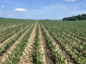 [1768549801747753_5.jpg]