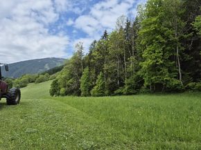 [1768898298332811_5.jpg]