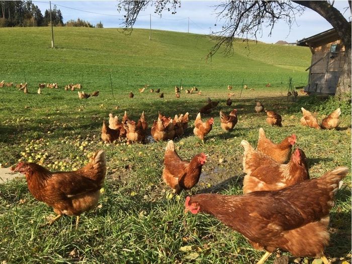 [1768899895222778_1.jpg]