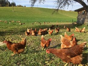 [1768899895222778_5.jpg]