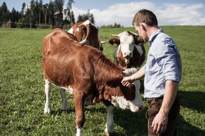 [1768901108206315_5.jpg]