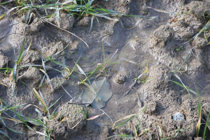 [1768903551594288_1.jpg]