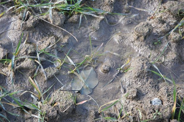 [1768903551594288_7.jpg]