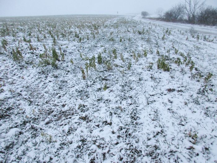 [1768903903027292_1.jpg]