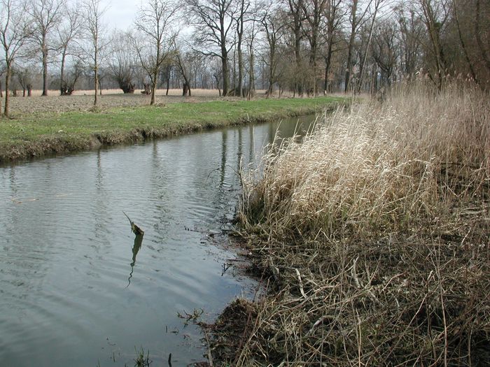 [1768911855250854_1.jpg]