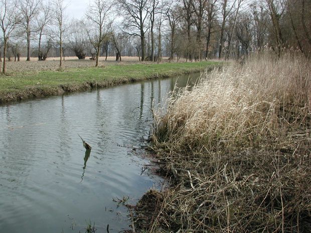 [1768911855250854_7.jpg]