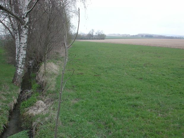 [176891307276924_7.jpg]