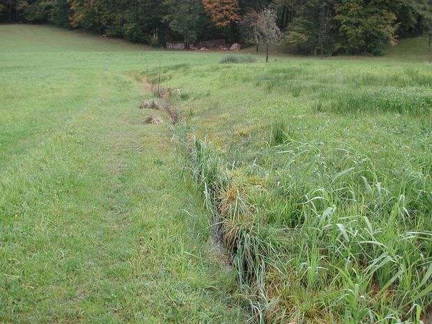 [176891436671956_7.jpg]