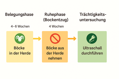 [1768989926908473_7.png]