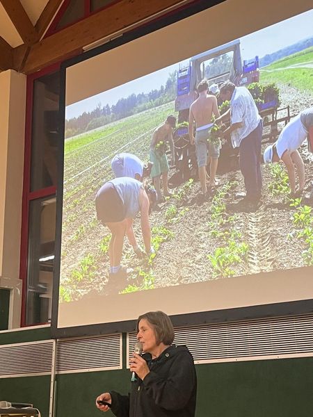 08325aa5-a5a8-4fa6-a639-72748dc19e52.jpg 08325aa5-a5a8-4fa6-a639-72748dc19e52.jpg