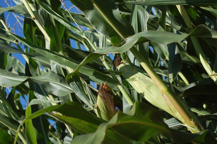 [1769170171750321_1.jpg]