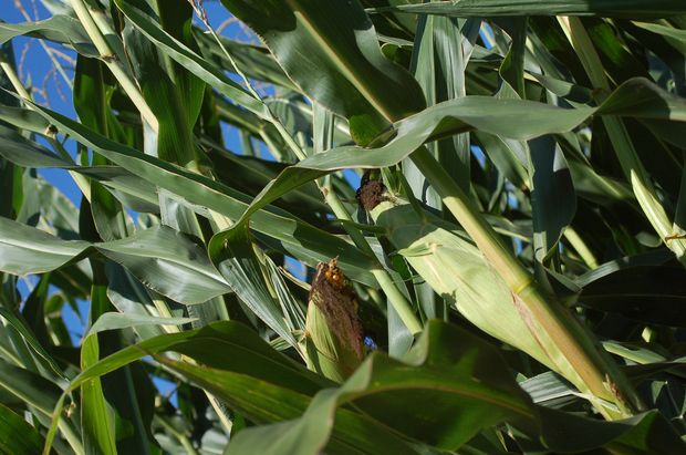 [1769170171750321_7.jpg]